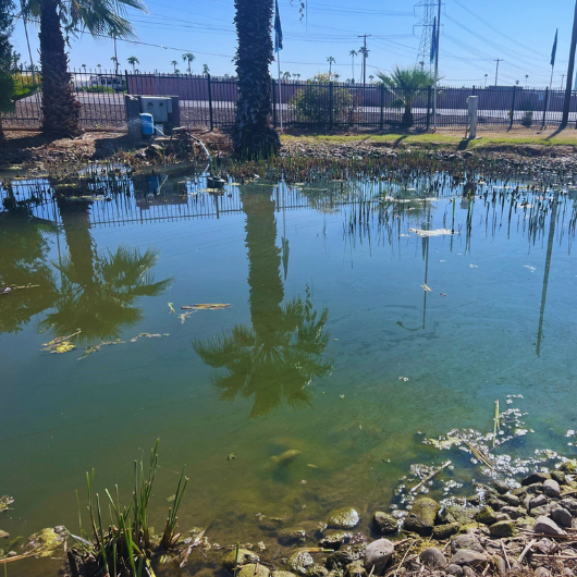 erosion rehabilitation